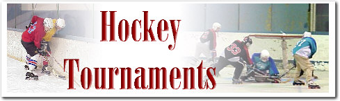 htgoal.jpg (30850 bytes)
